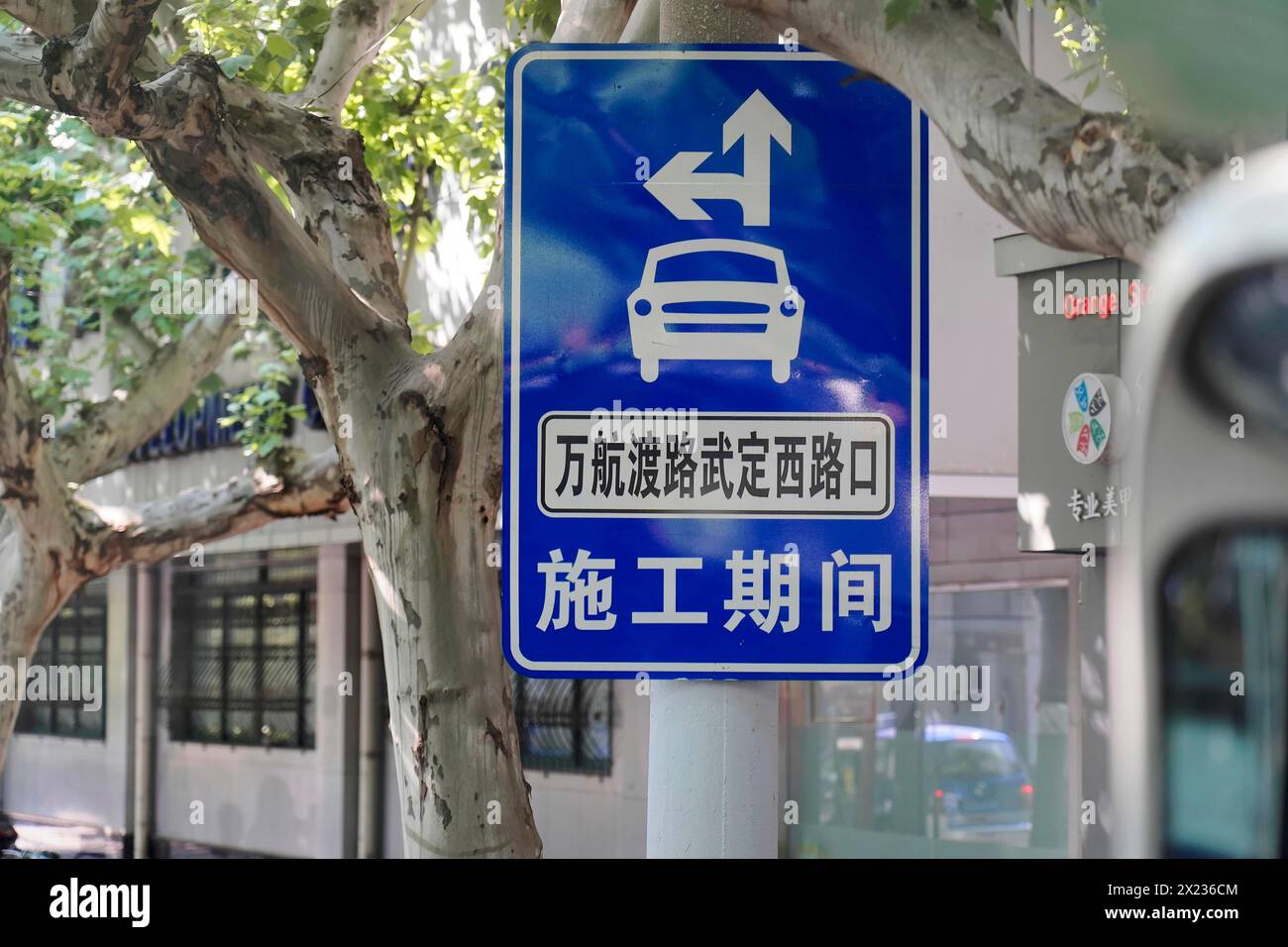 Un cartello stradale con frecce e caratteri cinesi di fronte a un albero, Shanghai, Repubblica Popolare Cinese Foto Stock