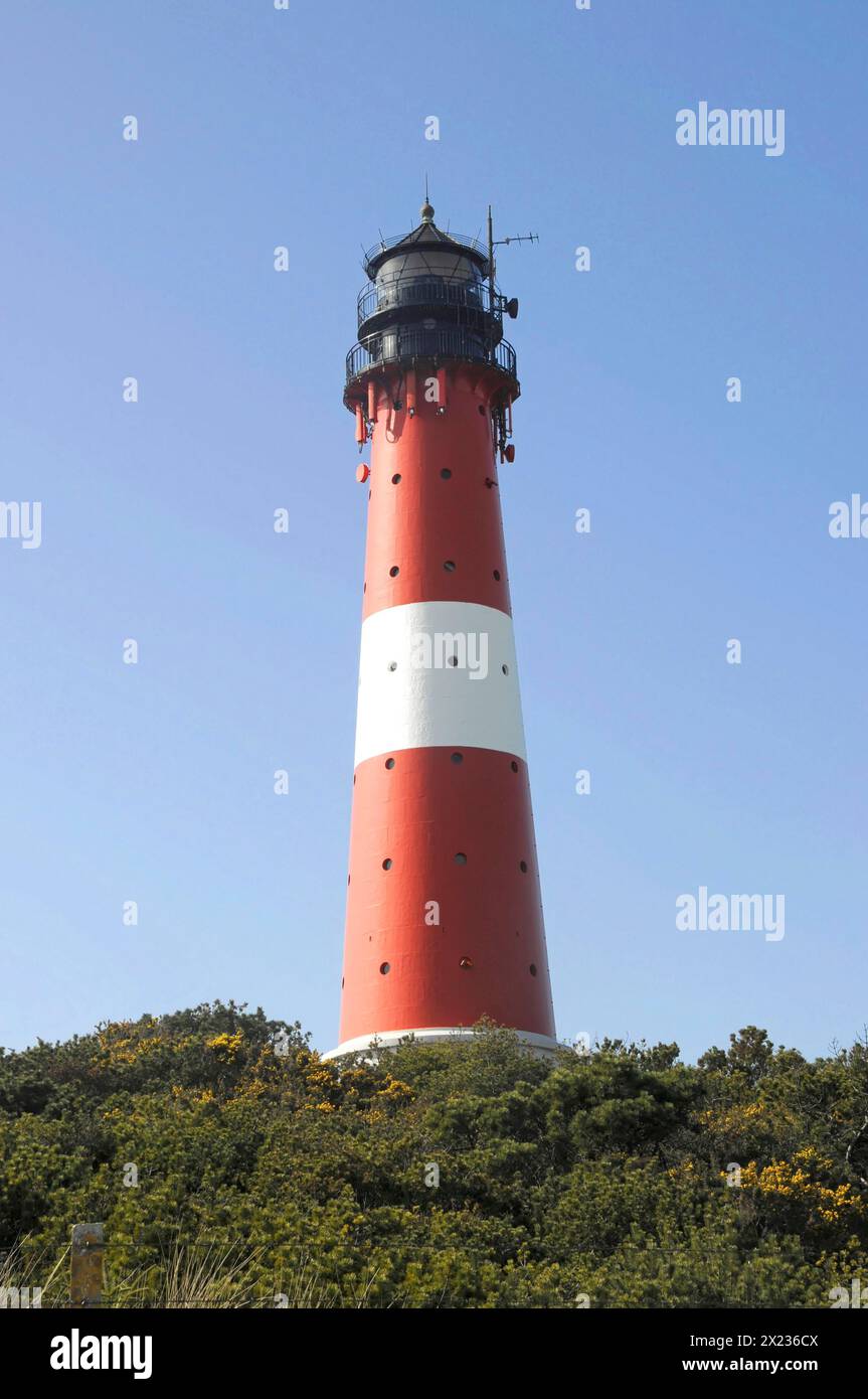 Faro, a strisce rosse e bianche, Hoernum, isola del Mare del Nord Sylt, Un faro a strisce rosse e bianche circondato da alberi verdi, Sylt, Frisia settentrionale Foto Stock