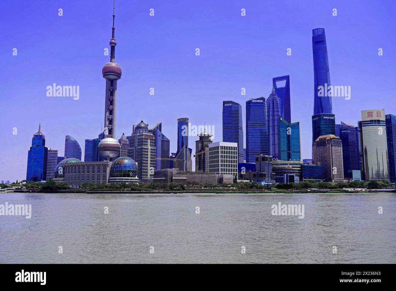 Passeggia attraverso Shanghai per raggiungere le attrazioni turistiche, Shanghai, Cina, Asia, l'impressionante skyline di Shanghai con un cielo limpido e il fiume in primo piano Foto Stock