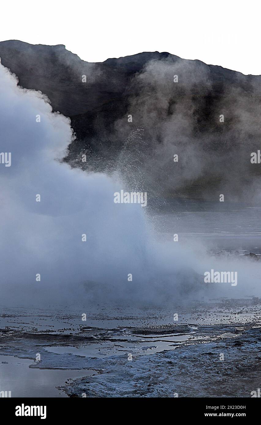 Cile; Cile settentrionale; regione di Antofagasta; deserto di Atacama; geyser El Tatio; il più grande campo di geyser dell'emisfero meridionale Foto Stock