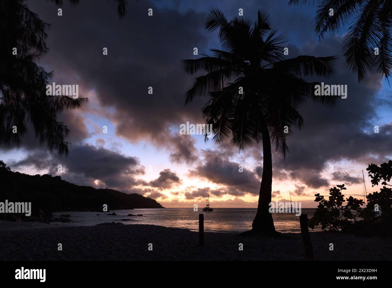 Spiaggia di Anse Lazio paesaggio costiero con silhouette di palme al tramonto. Isola di Praslin, Seychelles Foto Stock