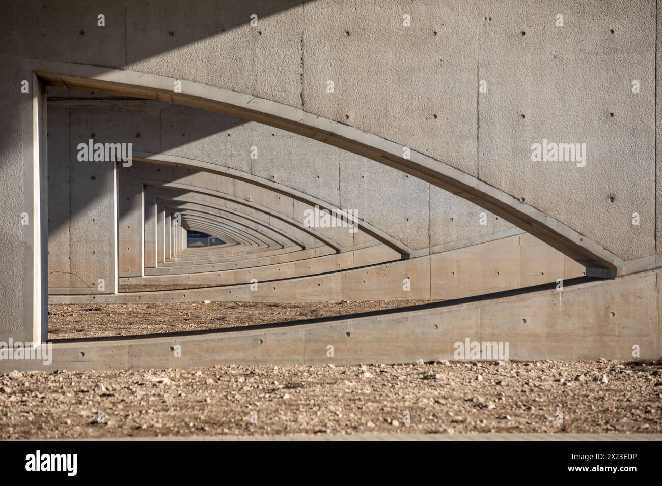 Pilastri del ponte a valle sull'Elba e la foresta dell'Elba (Mittellandkanal - Canale Elba-Havel), Magdeburgo - Hohenwarthe, Sassonia-Anhalt Foto Stock