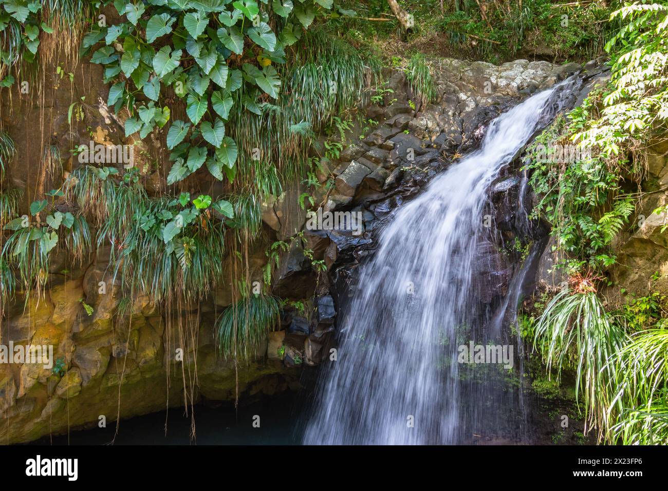 Cascata Annandale a Willis, Grenada, Caraibi. Foto Stock