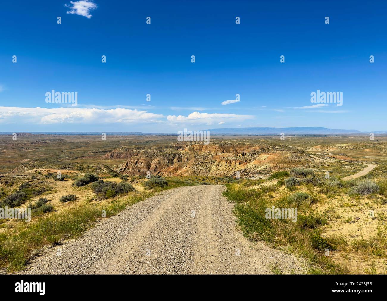 I calanchi di McCullough Peaks sono composti da sedimenti clastici provenienti dalle Big Horn Mountains e dall'ampio paesaggio della Wild Herd Management area nei pressi di Cody, Wyoming. Foto Stock