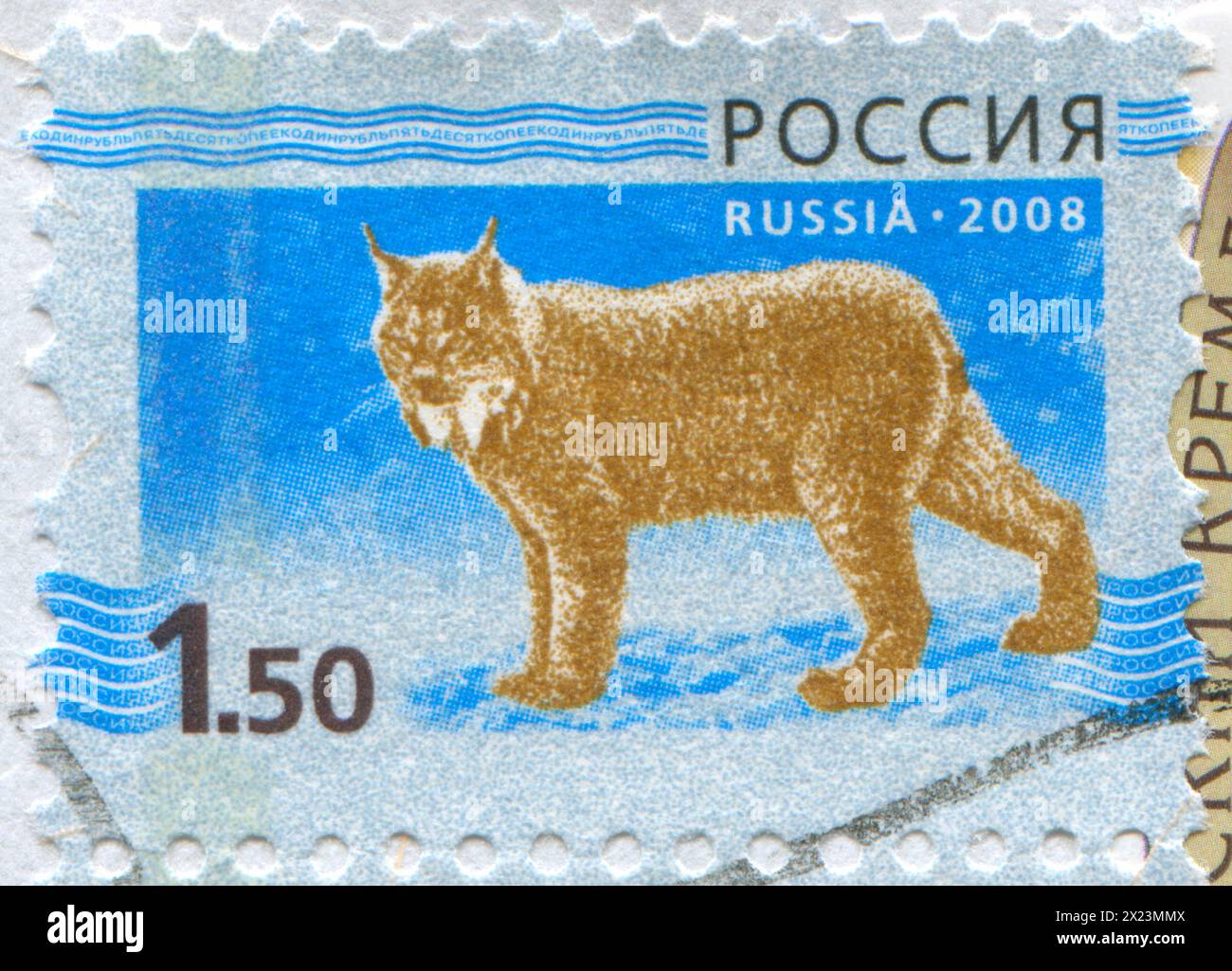 RUSSIA - CIRCA 2008: Francobollo stampato dalla Russia, mostra Lynx, circa 2008 Foto Stock