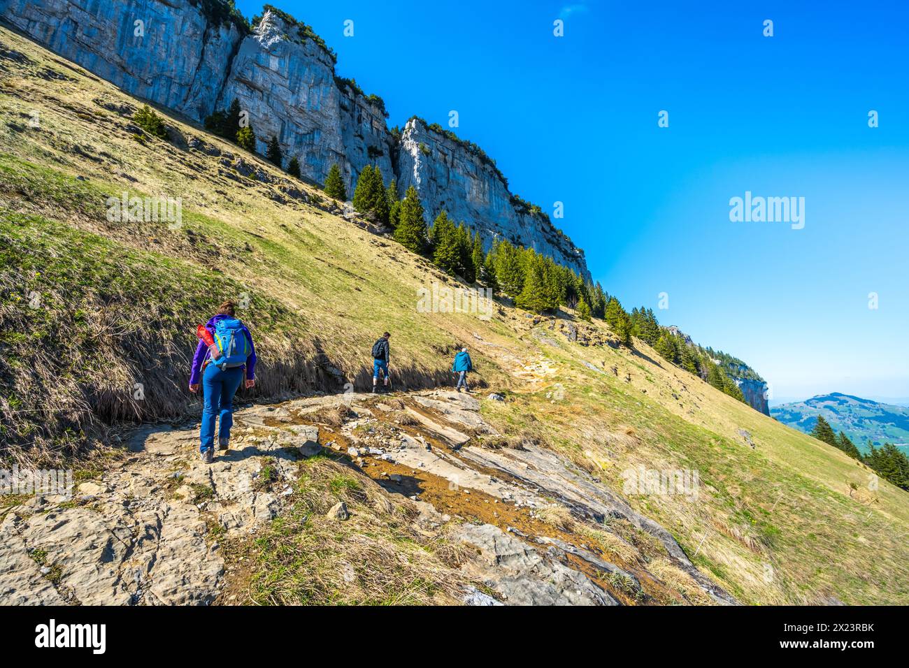 Descrizione: I turisti camminano lungo un pittoresco sentiero escursionistico attraverso un ripido terreno alpino con una parete rocciosa e sullo sfondo Ebenalp. Se Foto Stock