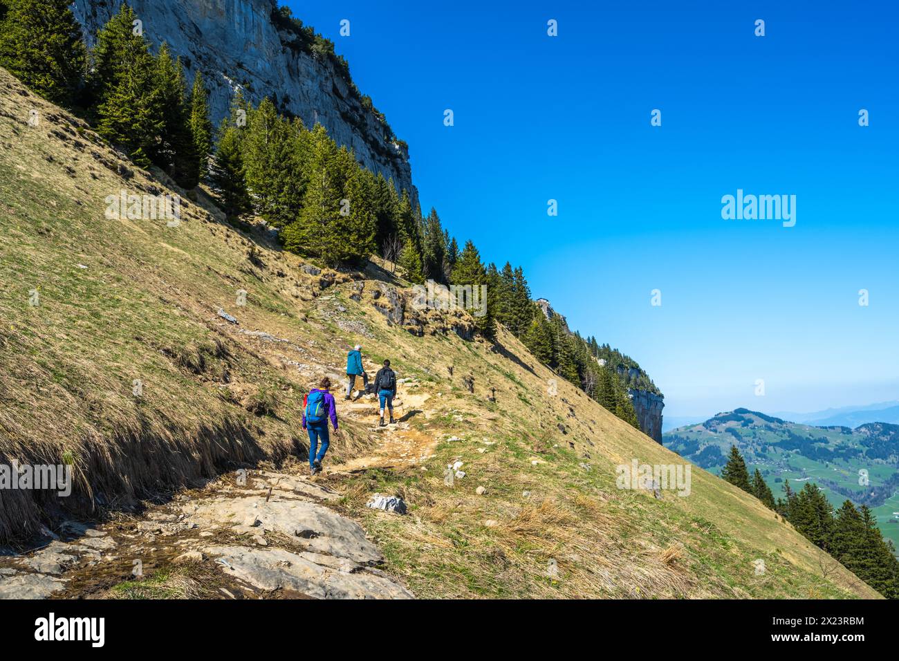 Descrizione: Il turista cammina lungo un pittoresco sentiero escursionistico attraverso un ripido prato alpino con una parete rocciosa e sullo sfondo Ebenalp. Vedere Foto Stock
