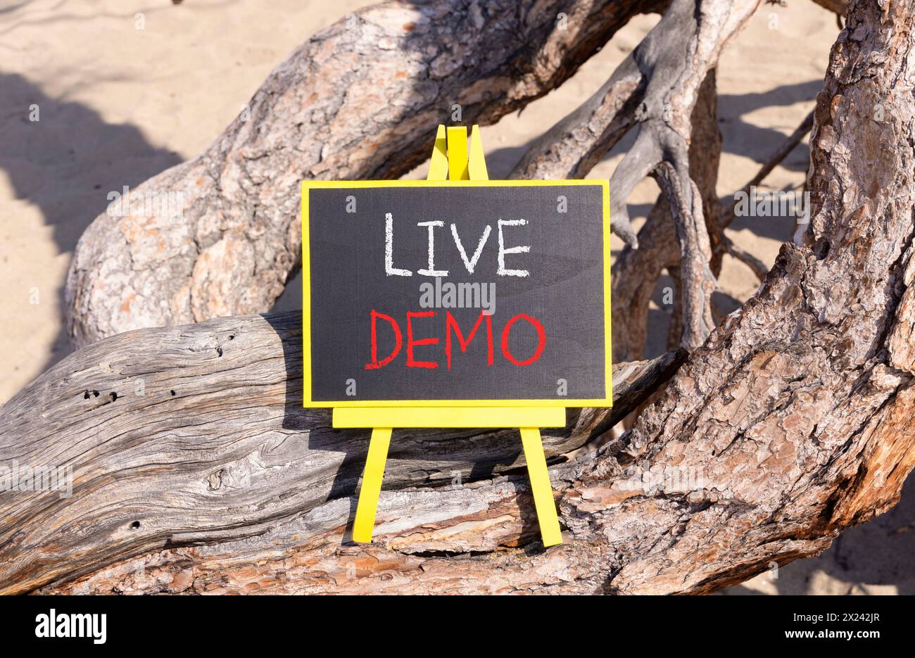 Simbolo demo dal vivo. Demo di Concept Words Live su una bellissima lavagna nera e gialla. Splendido sfondo di alberi. Copia spazio. Concetto di demo aziendali e live. Foto Stock