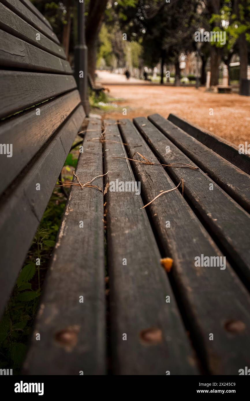 Una panchina vuota in un parco urbano di Roma fotografata da un punto di vista diverso Foto Stock