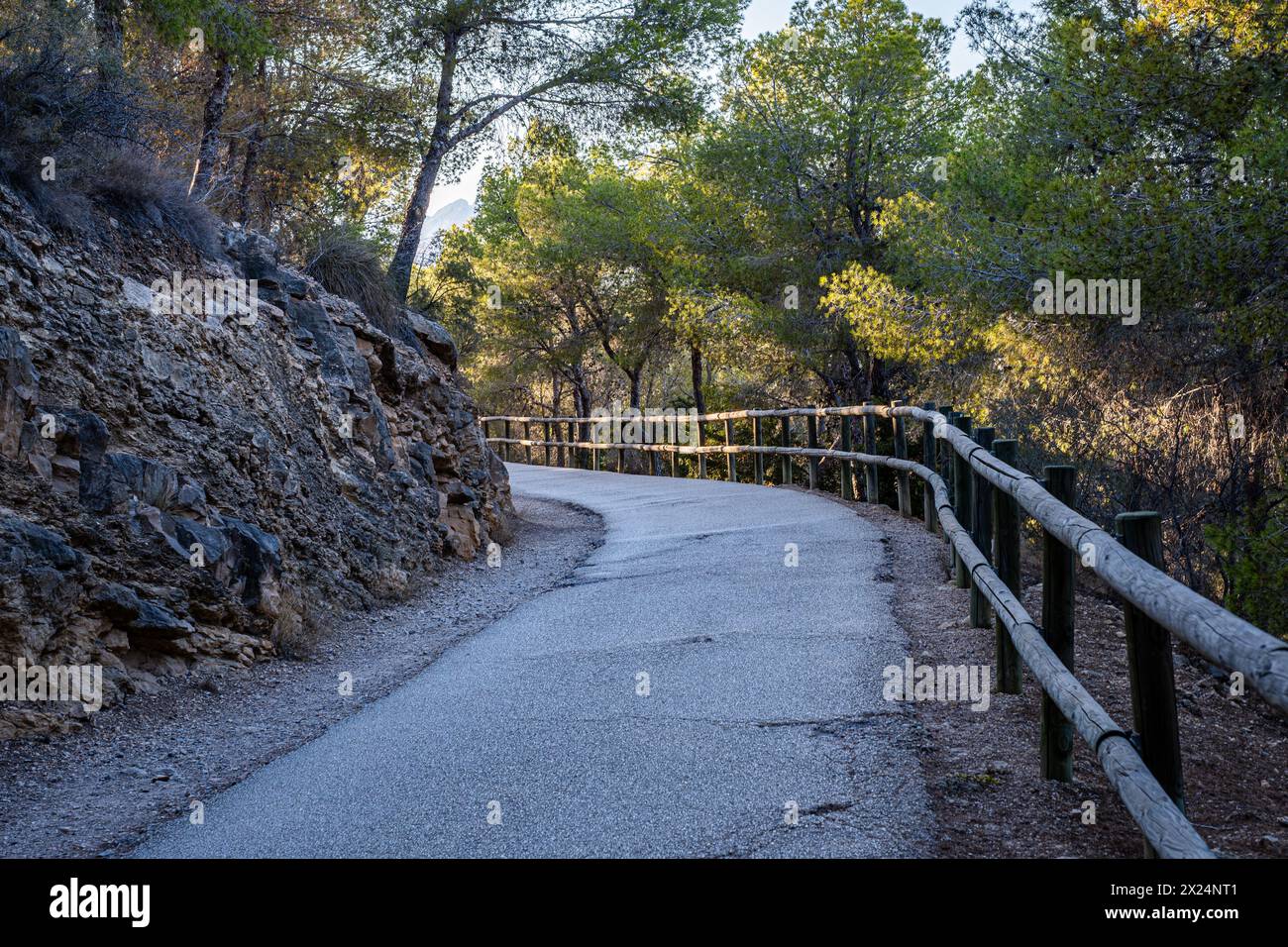 Una strada di campagna ombreggiata curva attraverso una fitta foresta, la recinzione di legno che costeggia il sentiero ne mette in risalto il fascino rustico. Foto di alta qualità Foto Stock