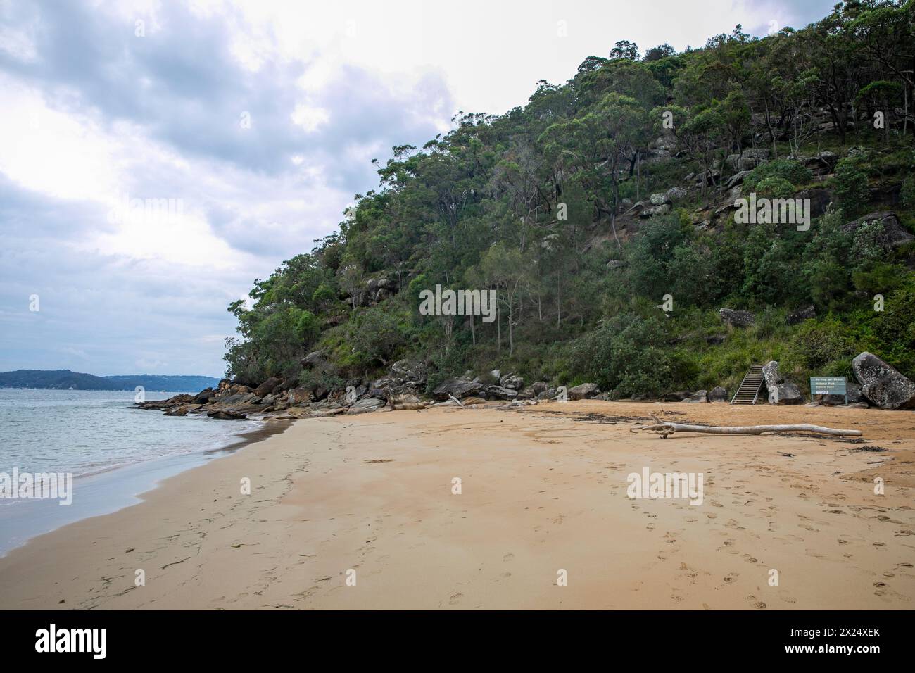 Resolute Beach a West Head sul parco nazionale Ku-ring-GAI Chase, la spiaggia appartata si trova sulle rive di Pittwater Bay, Sydney, NSW, Australia Foto Stock