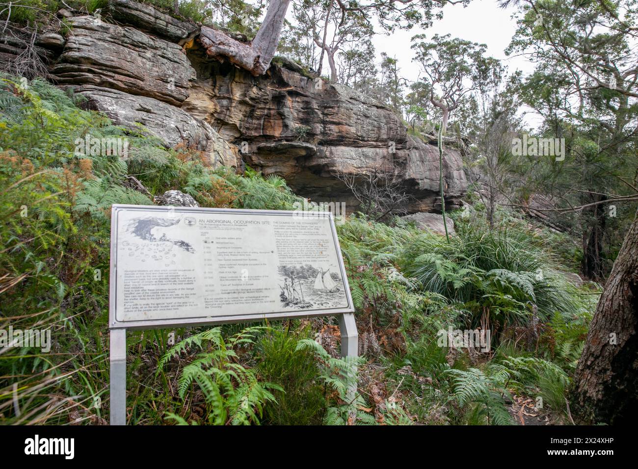 Sentiero del patrimonio aborigeno nel parco nazionale di Ku-Ring-GAI Chase, con cartello informativo relativo alla grotta di roccia vivente di Midden, Sydney, NSW, Australia Foto Stock