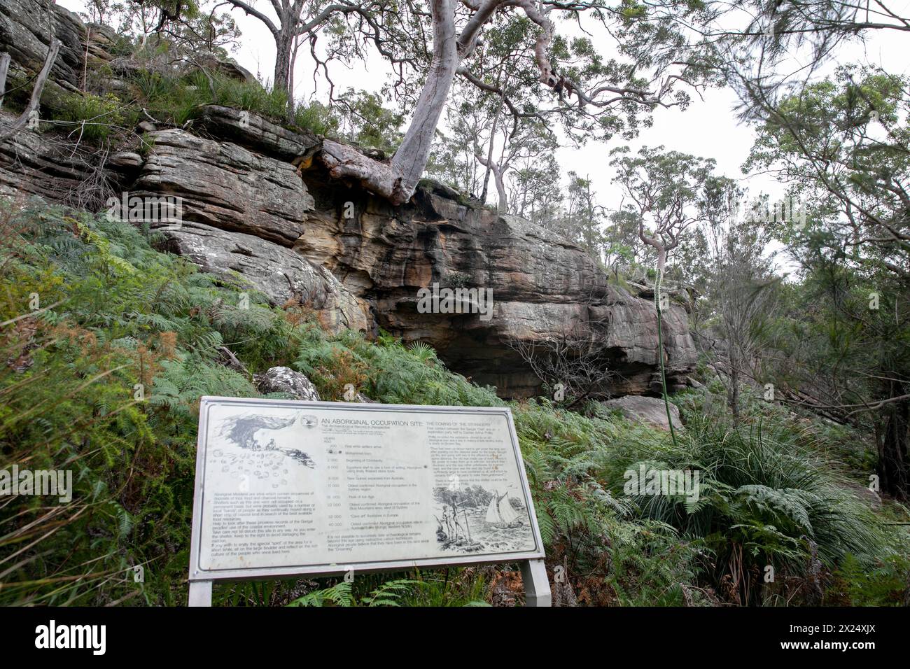 Sentiero del patrimonio aborigeno nel parco nazionale di Ku-Ring-GAI Chase, con cartello informativo relativo alla grotta di roccia vivente di Midden, Sydney, NSW, Australia Foto Stock