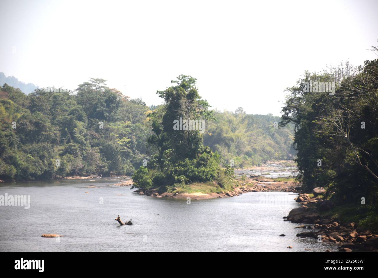 Fiume tropicale selvaggio che scorre pacificamente Foto Stock