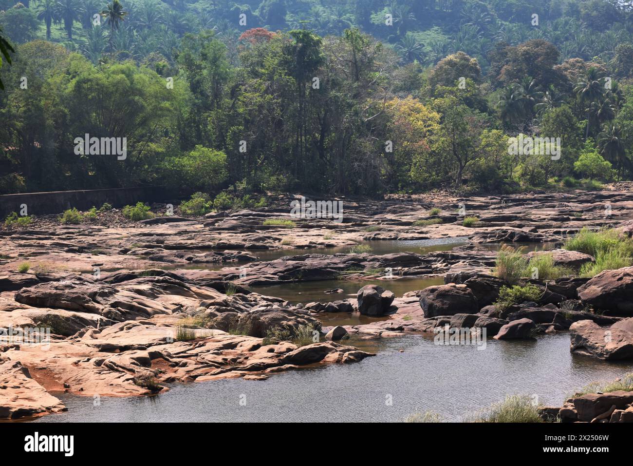bella immagine del fiume selvaggio Foto Stock