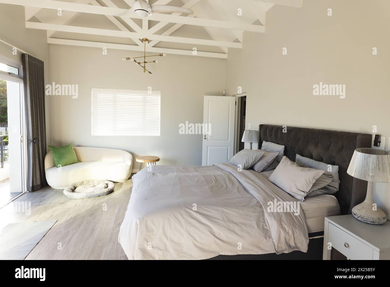 Donna anziana che si rilassa sul letto, cane che dorme in un comodo letto nelle vicinanze, in una camera luminosa Foto Stock