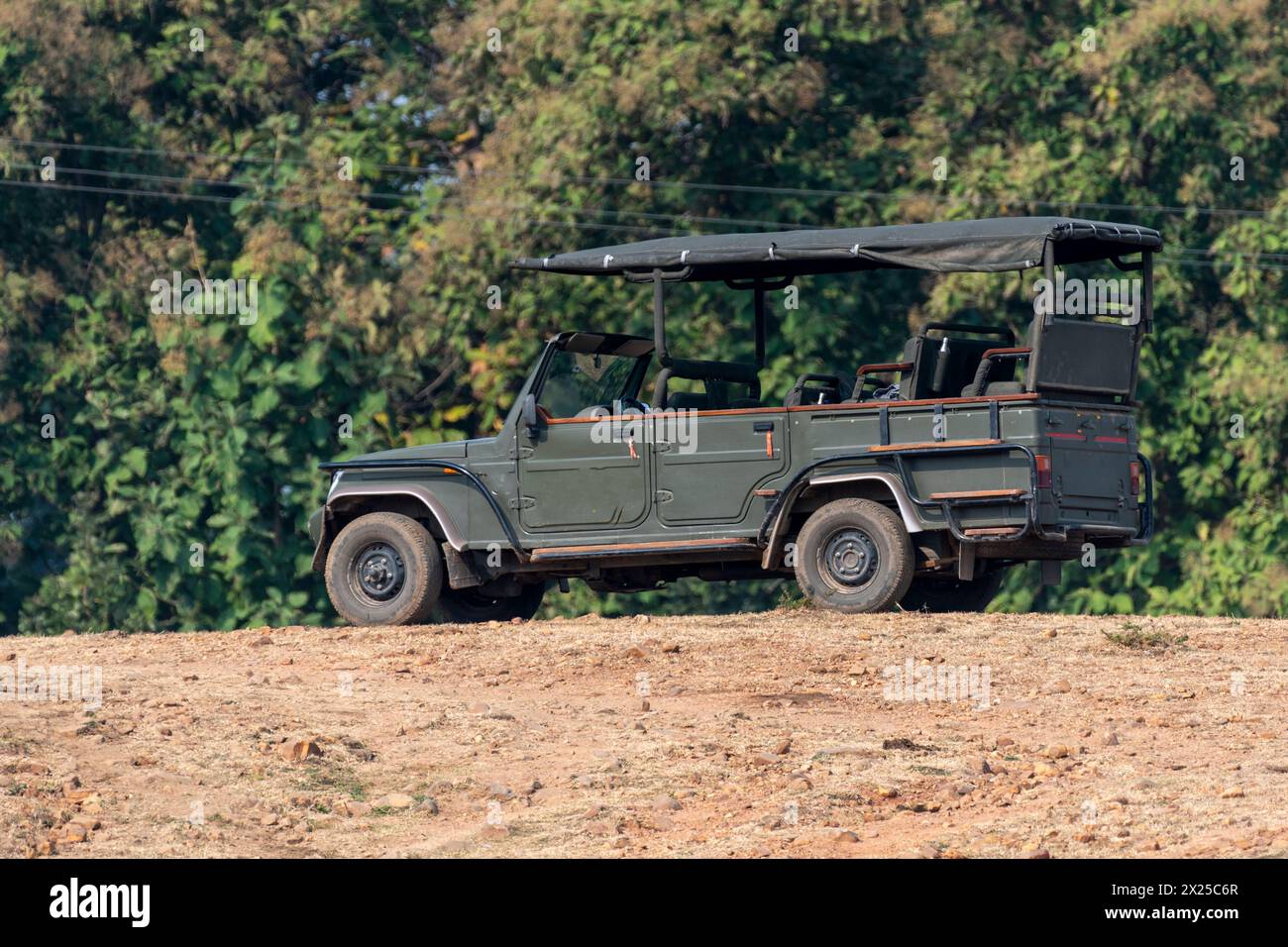 Un veicolo safari nella foresta indiana. Foto Stock