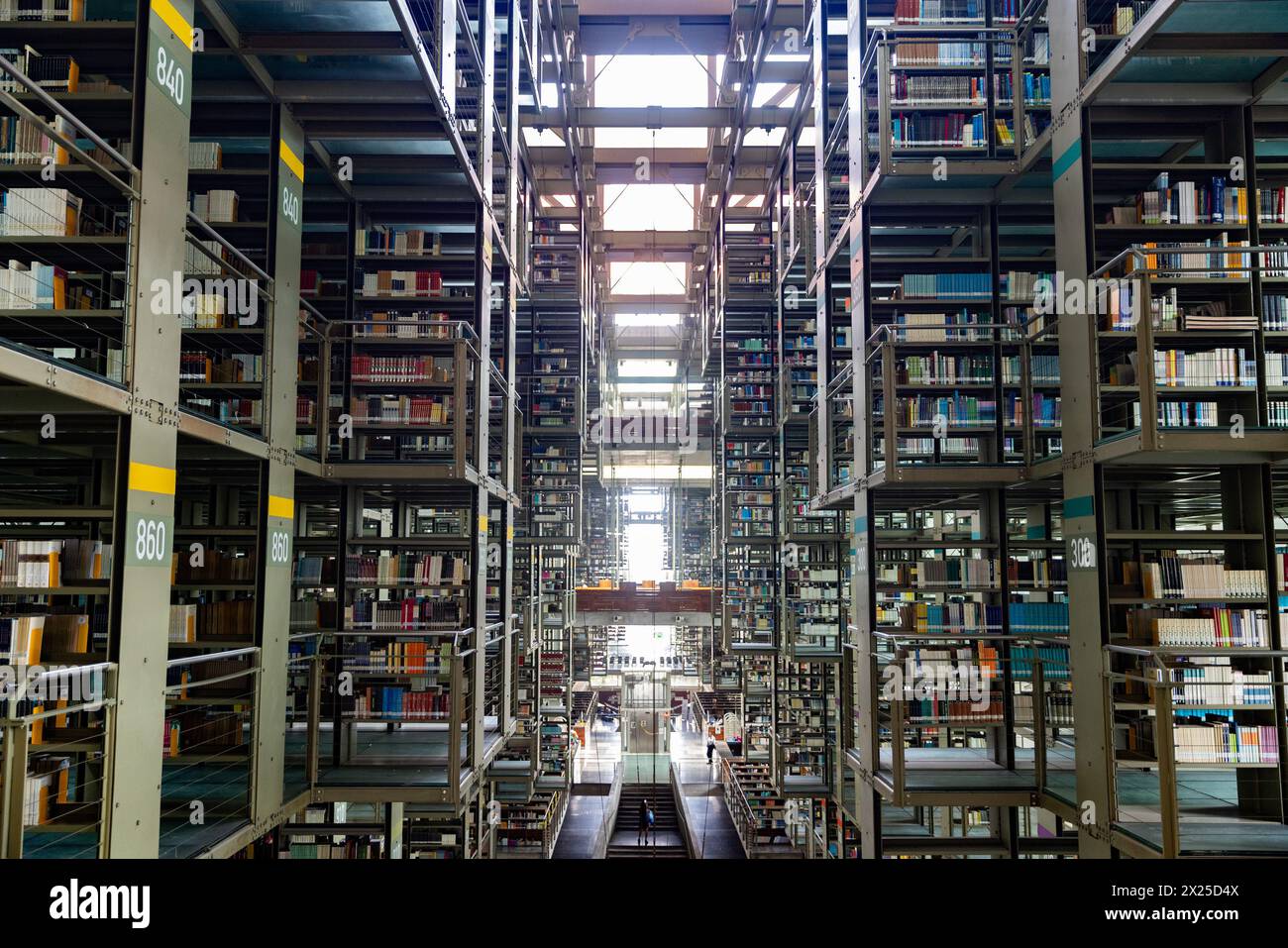 Città del Messico. 19 aprile 2024. Questa foto scattata il 19 aprile 2024 mostra una vista interna della Biblioteca Vasconcelos a città del Messico, Messico. La Biblioteca Vasconcelos, aperta nel 2006, è una delle più grandi del suo genere in Messico. Prende il nome dal politico messicano Jose Vasconcelos. Crediti: Li Mengxin/Xinhua/Alamy Live News Foto Stock