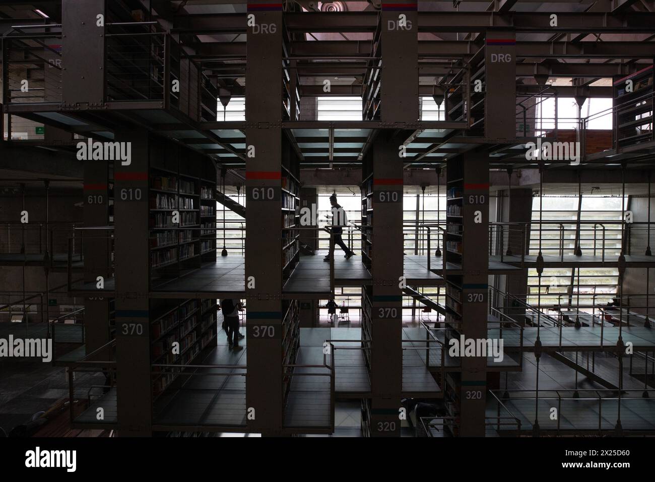 Città del Messico, Messico. 19 aprile 2024. Un uomo è raffigurato nella biblioteca Vasconcelos di città del Messico, Messico, il 19 aprile 2024. La Biblioteca Vasconcelos, aperta nel 2006, è una delle più grandi del suo genere in Messico. Prende il nome dal politico messicano Jose Vasconcelos. Crediti: Li Muzi/Xinhua/Alamy Live News Foto Stock