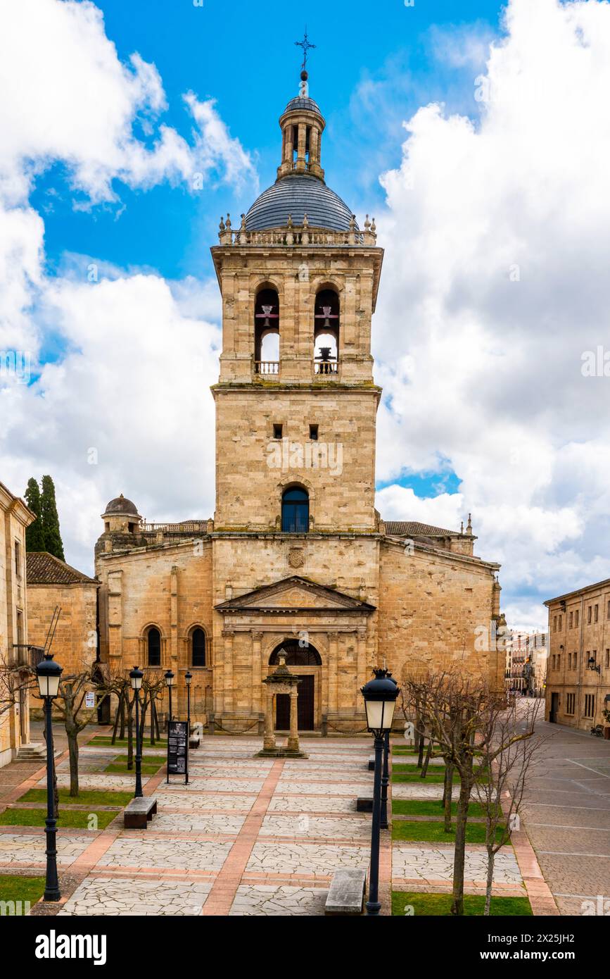 Vista della Cattedrale di Ciudad Rodrigo. Ciudad Rodrigo è una piccola città della provincia di Salamanca, Castilla y Leon, Spagna. La cattedrale ha quattro porte Foto Stock