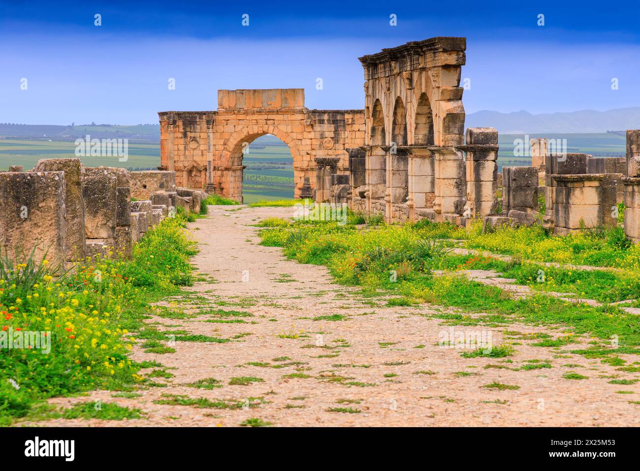 Volubilis, Marocco. L'Arco di Caracalla sulla strada principale della città, il Decumanus Maximus. Foto Stock