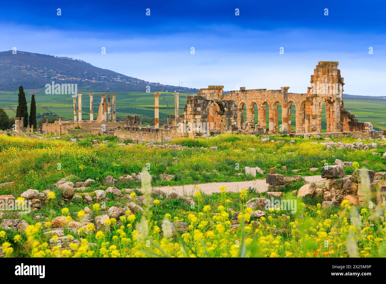 Volubilis, Marocco. Basilica e Tempio Capitolino Foto Stock