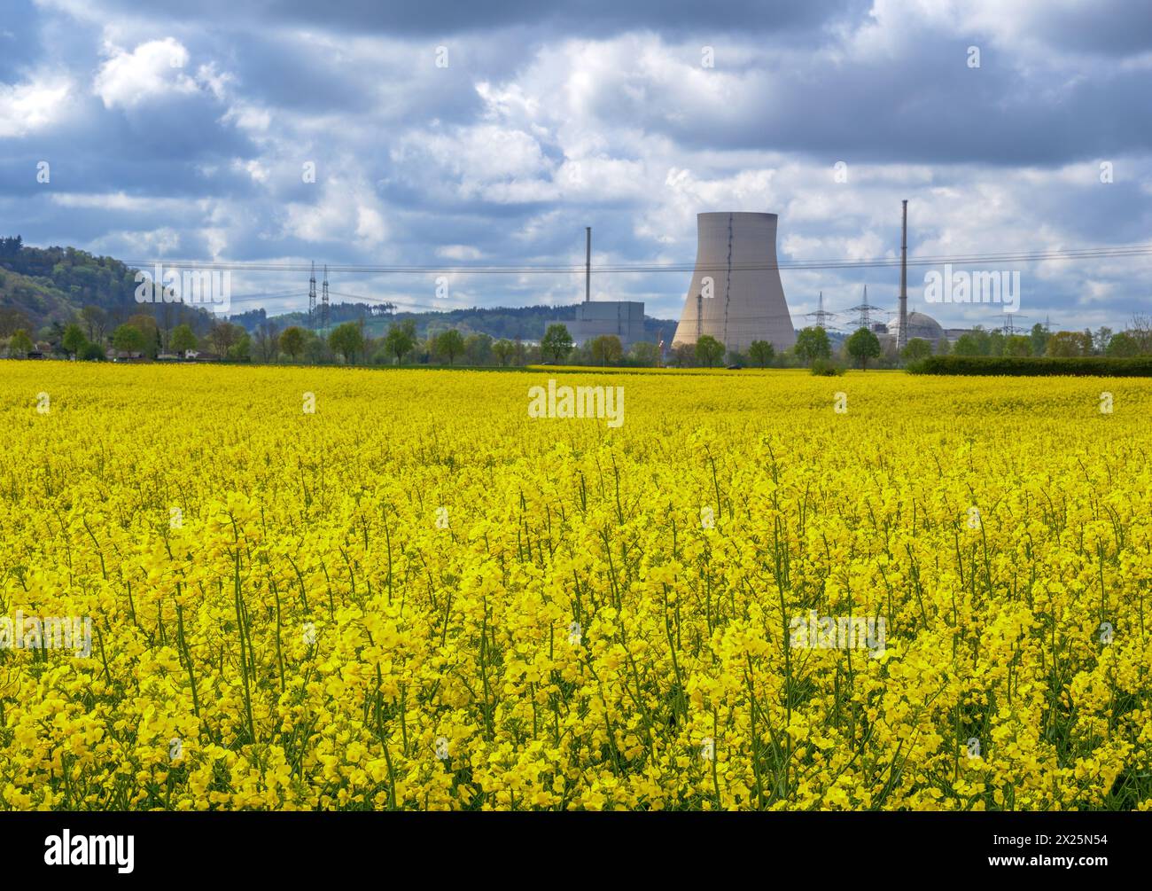 Campo giallo di colza in fiore di fronte a un cielo nuvoloso drammatico, dietro di esso la centrale nucleare Isar2, in Baviera, Germania Foto Stock