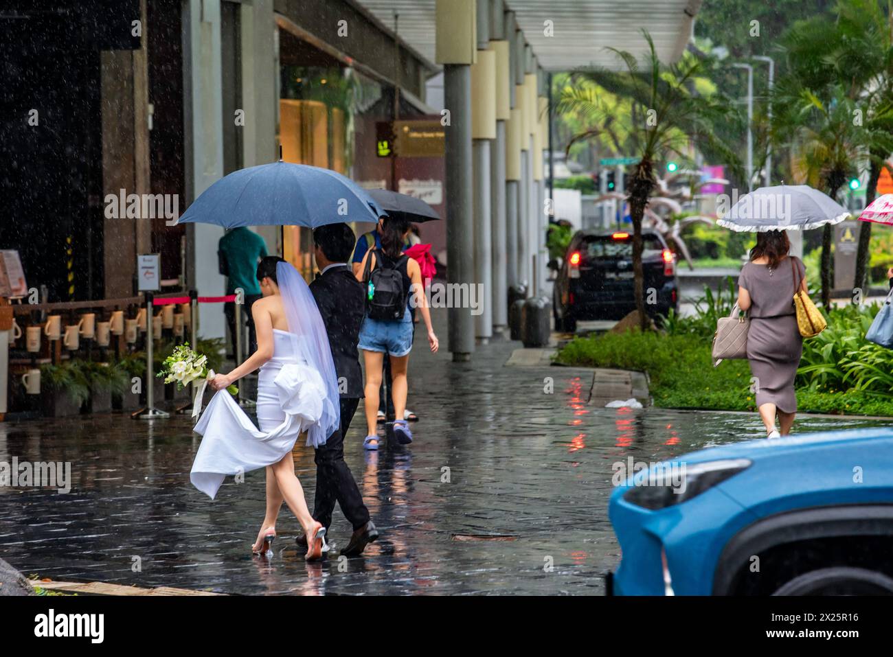 Una giovane sposa e uno sposo attraversa Bras Basah Road a Singapore sotto un ombrello mentre piove verso il centro commerciale Raffles City Foto Stock