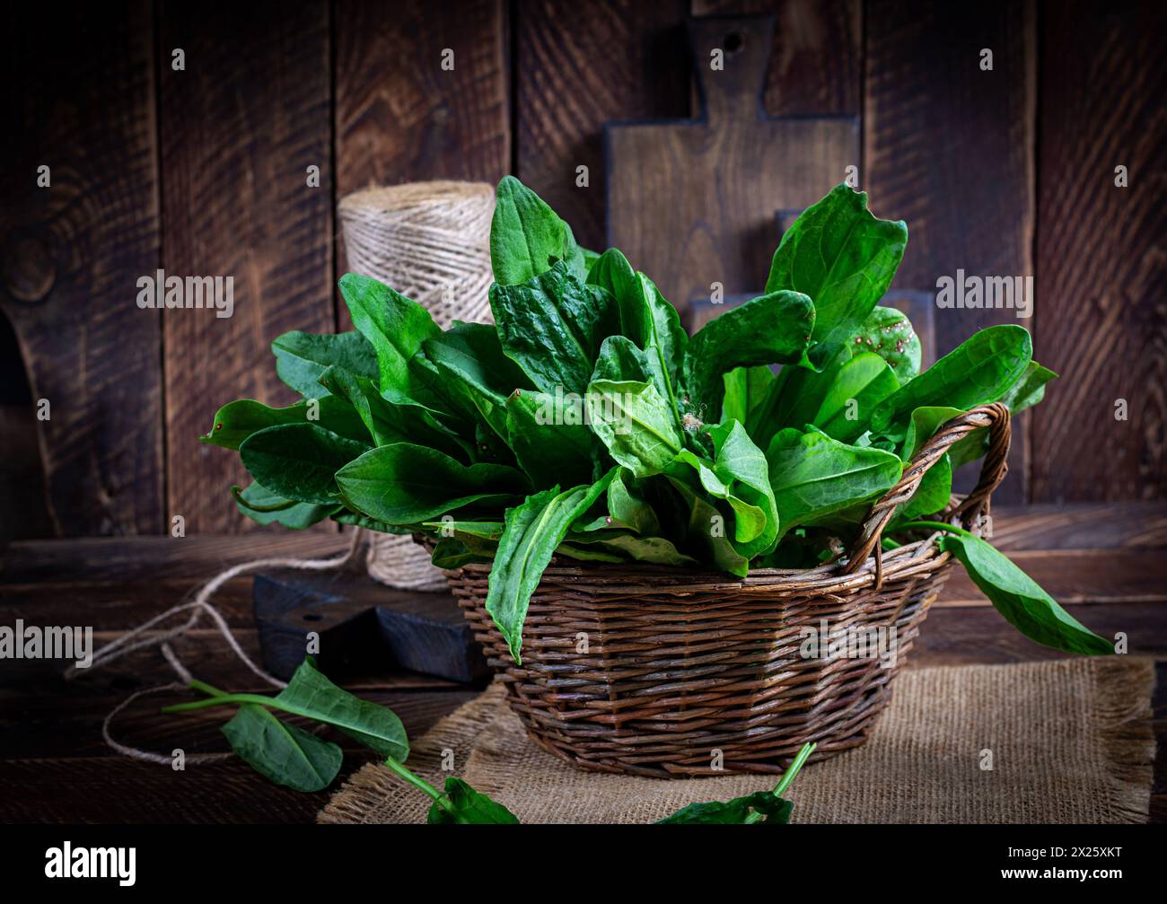 Sorrel. Un mazzo di foglie di riccio biologico verde fresco su un tavolo di legno. Foto Stock
