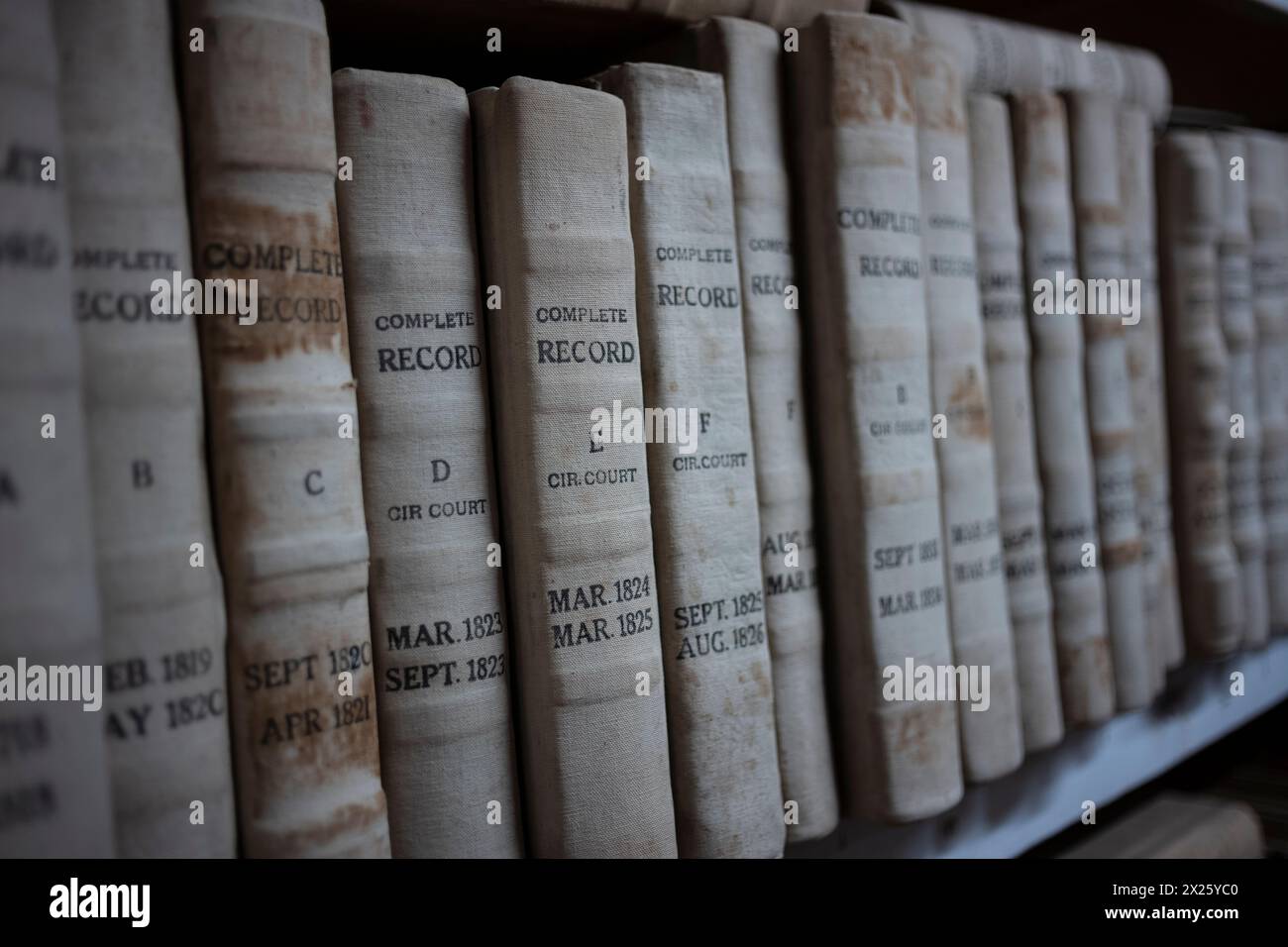 Le pile di libri contenenti documenti pubblici sono ordinatamente organizzate su una libreria che si trova nella biblioteca pubblica. Foto Stock