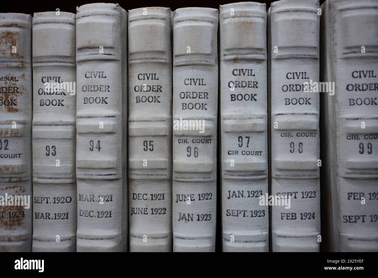 Le pile di libri contenenti documenti pubblici sono ordinatamente organizzate su una libreria che si trova nella biblioteca pubblica. Foto Stock