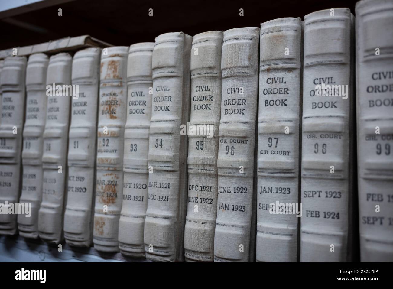 Le pile di libri contenenti documenti pubblici sono ordinatamente organizzate su una libreria che si trova nella biblioteca pubblica. Foto Stock