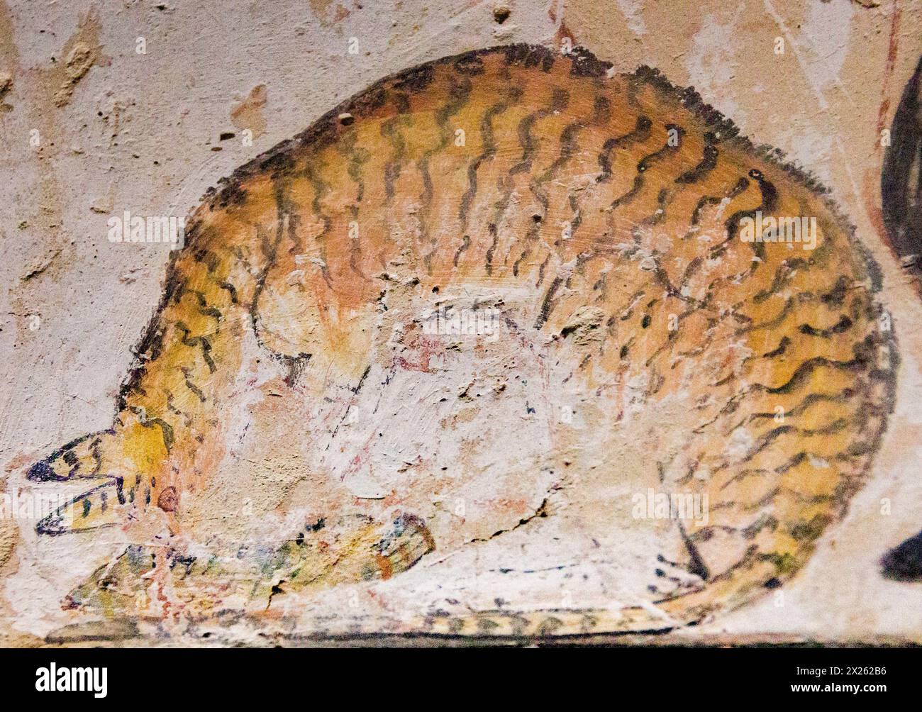 Luxor in Egitto, Valle dei Nobili, tomba di Nakht: Gatto che mangia pesce. Foto Stock