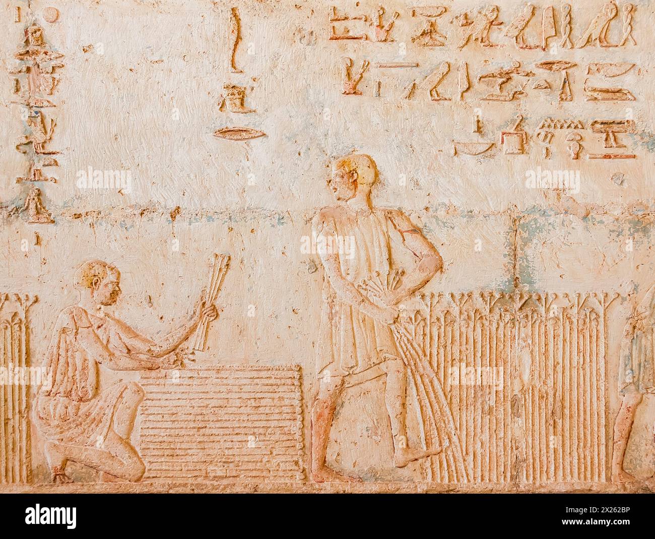Egitto, tonno el Gebel, tomba di Petosiris, raccolta del lino, impacchettamento. Foto Stock