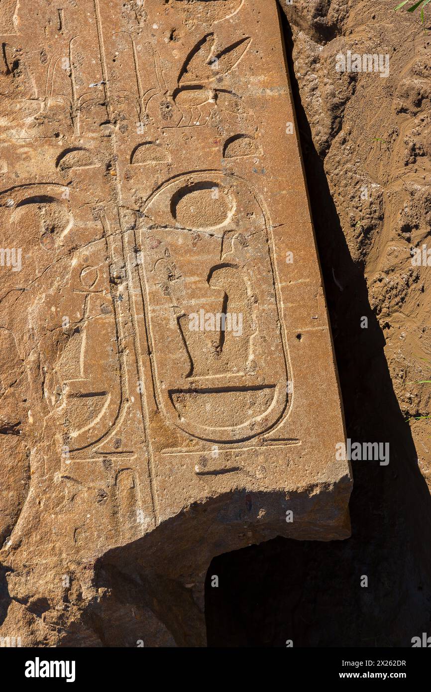 Egitto, Luxor sponda occidentale, Kom el Hettan, il tempio da un milione di anni di Amenofi 3: Riscoperta di 2 colossi alla porta nord (foto 2012). Foto Stock