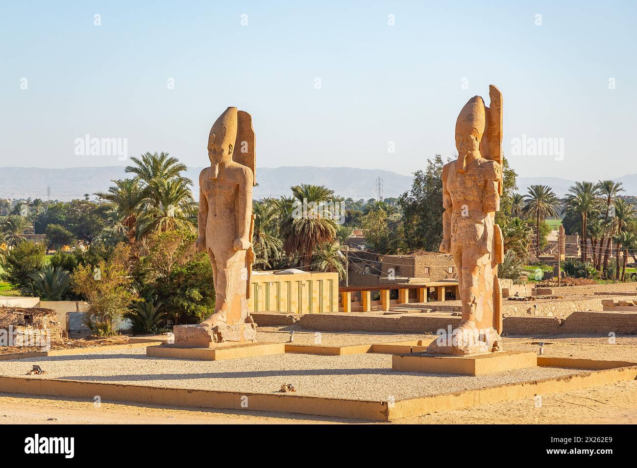 Egitto, Luxor sponda occidentale, Kom el Hettan, il tempio da un milione di anni di Amenofi 3, porta nord: 2 colossi recentemente ricostruiti (foto 2024). Foto Stock