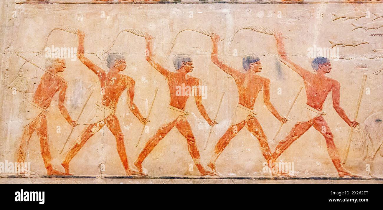 Egitto, Saqqara, tomba di Ty, agricoltura: Capre leader nel campo dove venivano seminati i cereali, per coprire i cereali. Foto Stock