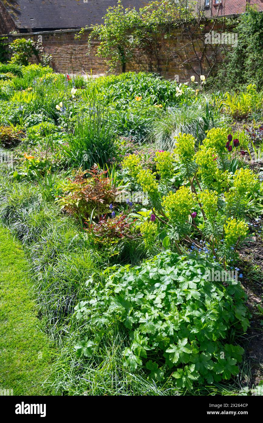 Confini erbacei nel Parsonage Garden presso il giardino botanico Fletcher Moss a Didsbury, a South Manchester. Foto Stock