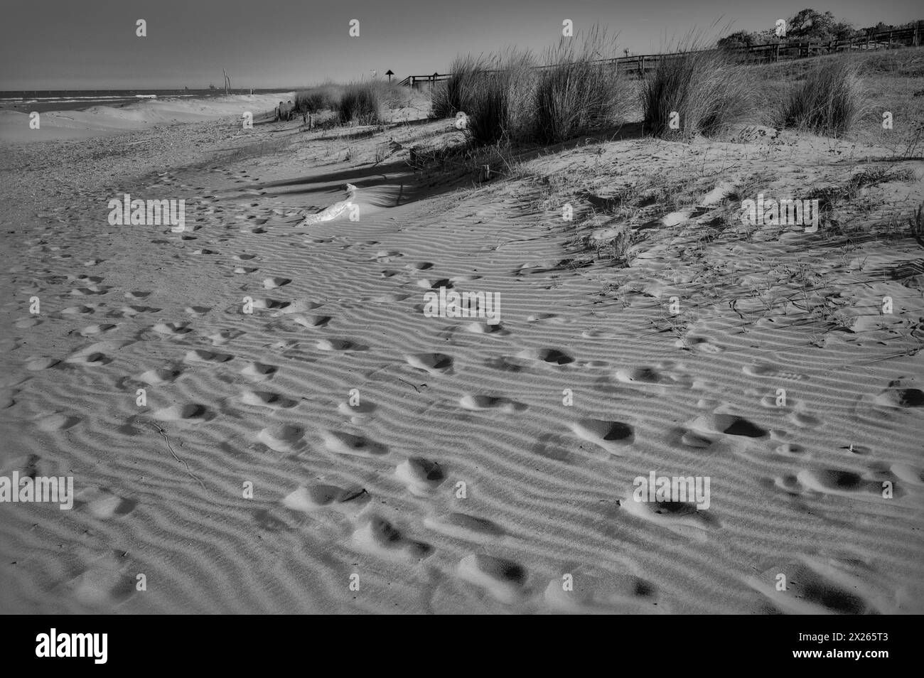 Una sinfonia di impronte adorna la sabbia, ognuna delle quali imprime una testimonianza silenziosa di viaggi sconosciuti Foto Stock