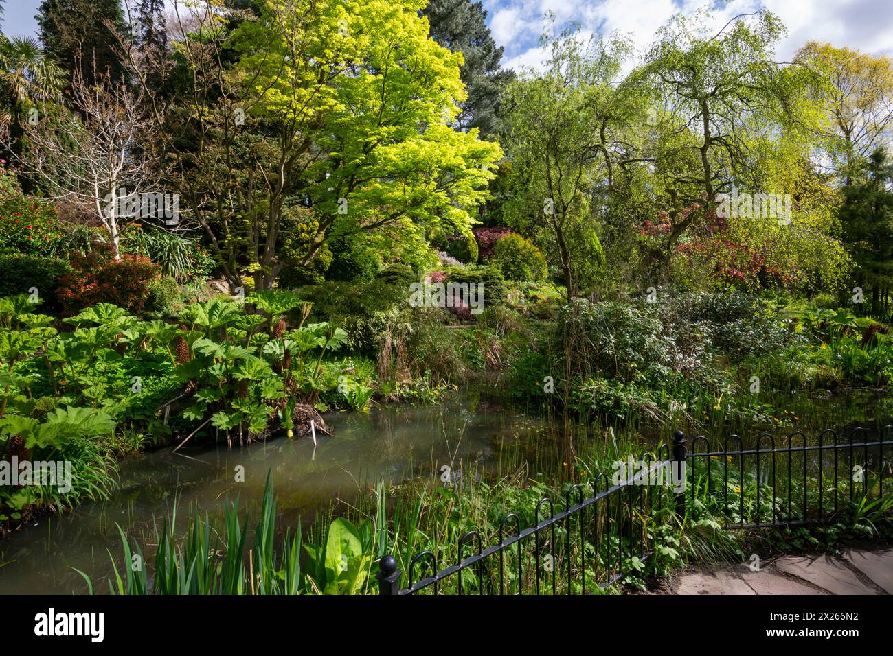 Giardini botanici Fletcher Moss in primavera, Didsbury, Greater Manchester, Inghilterra. Foto Stock