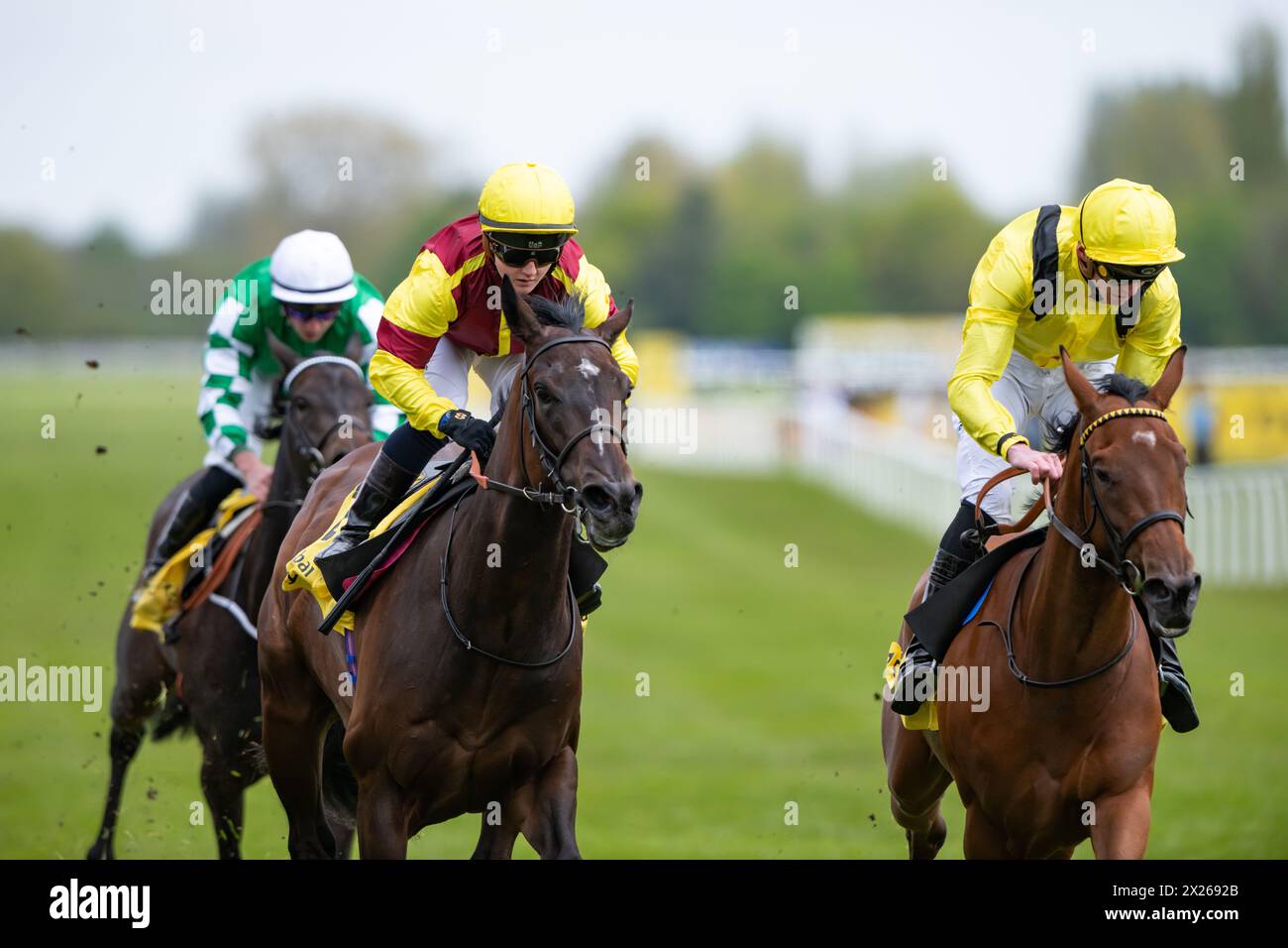 Folgaria e Hollie Doyle vincono il Dubai Duty Free Stakes (registrato come Fred Darling Stakes) gruppo 3 per l'allenatore Marco Botti e la proprietaria Scuderia Sagam SRLS. Crediti JTW equine Images / Alamy Live News Foto Stock