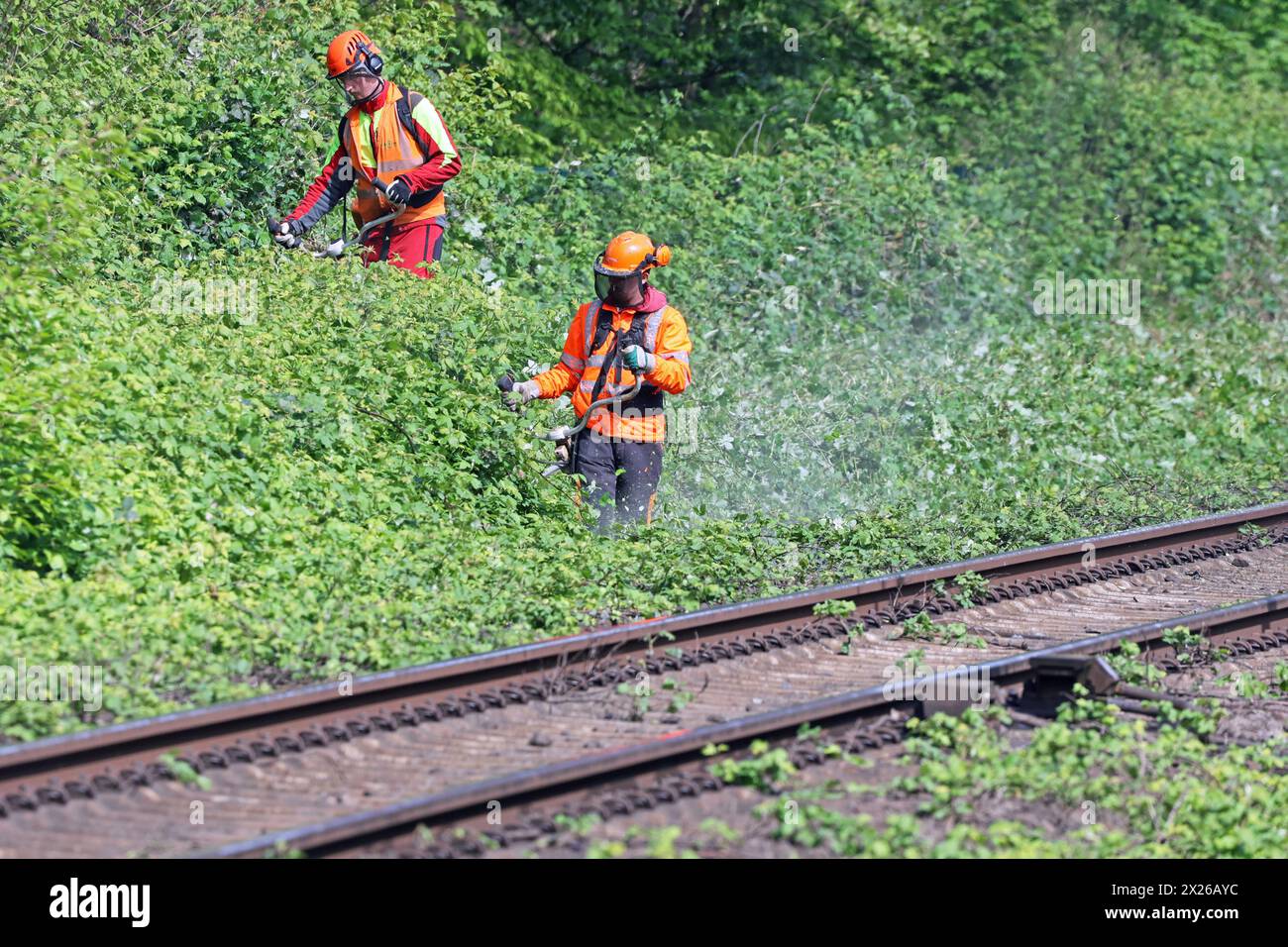 Sicherheitspertinante Maßnahmen im Bahnbetrieb Vegetationsrückschnitt an Gleisanlagen zur Verkehrssicherung im Bahnbetrieb *** misure di sicurezza nelle operazioni ferroviarie taglio della vegetazione sui sistemi di binario per la sicurezza del traffico nelle operazioni ferroviarie Foto Stock