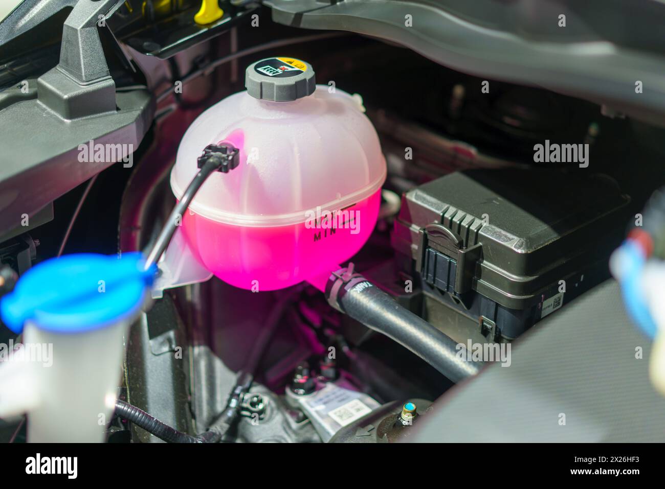 primo piano del serbatoio del liquido di raffreddamento contenente antigelo rosa brillante. Questo componente essenziale garantisce una regolazione ottimale della temperatura, salvaguardando il vostro Foto Stock