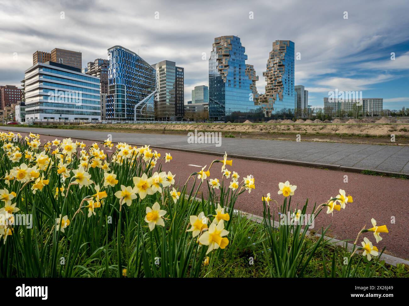 Skyline di Amsterdam Zuidas in primavera Foto Stock