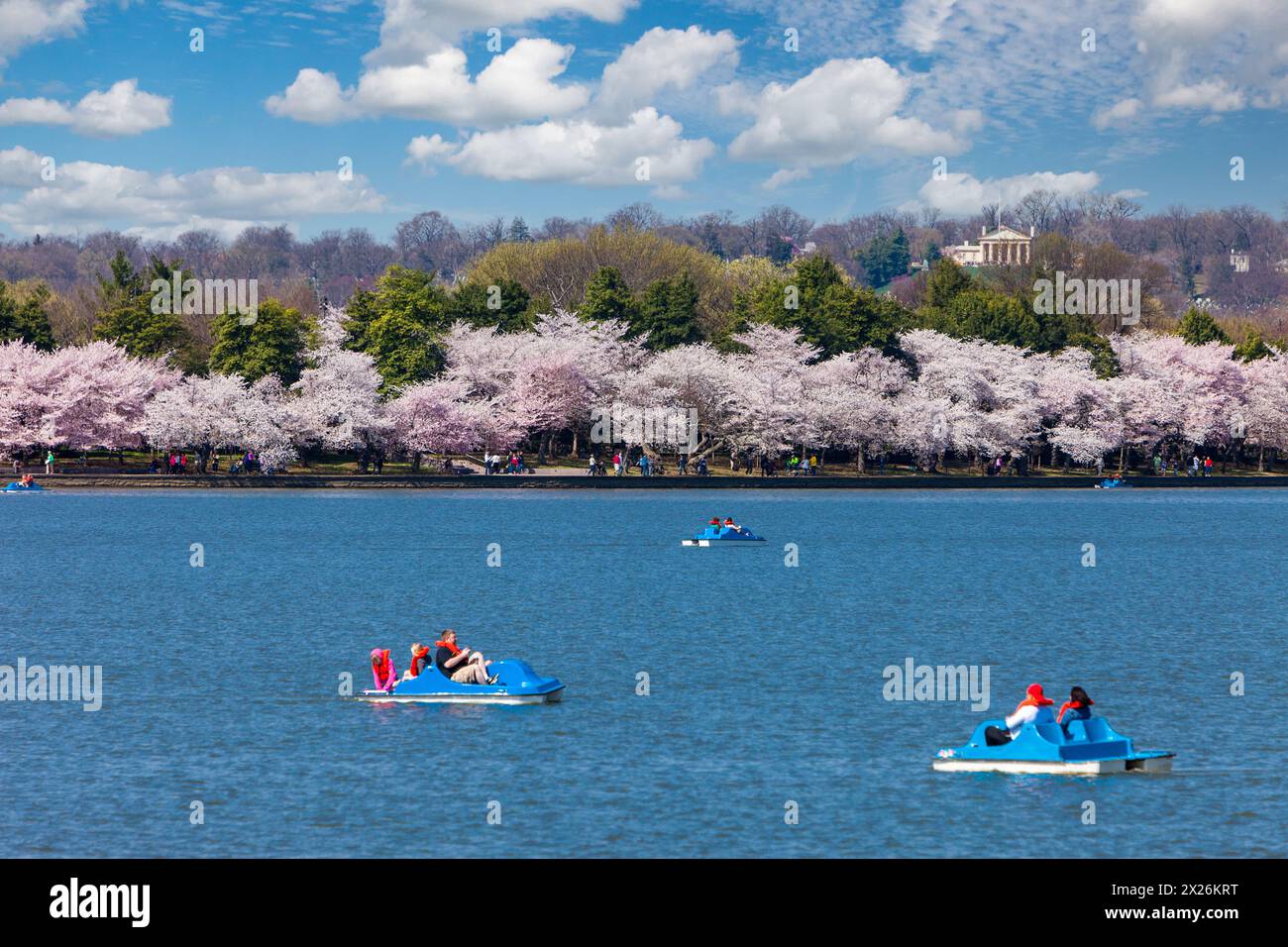 Washington D.C., fiori di ciliegio. Paddle-Boating sul bacino di marea. Custis-Lee Mansion sulla collina in background. Foto Stock