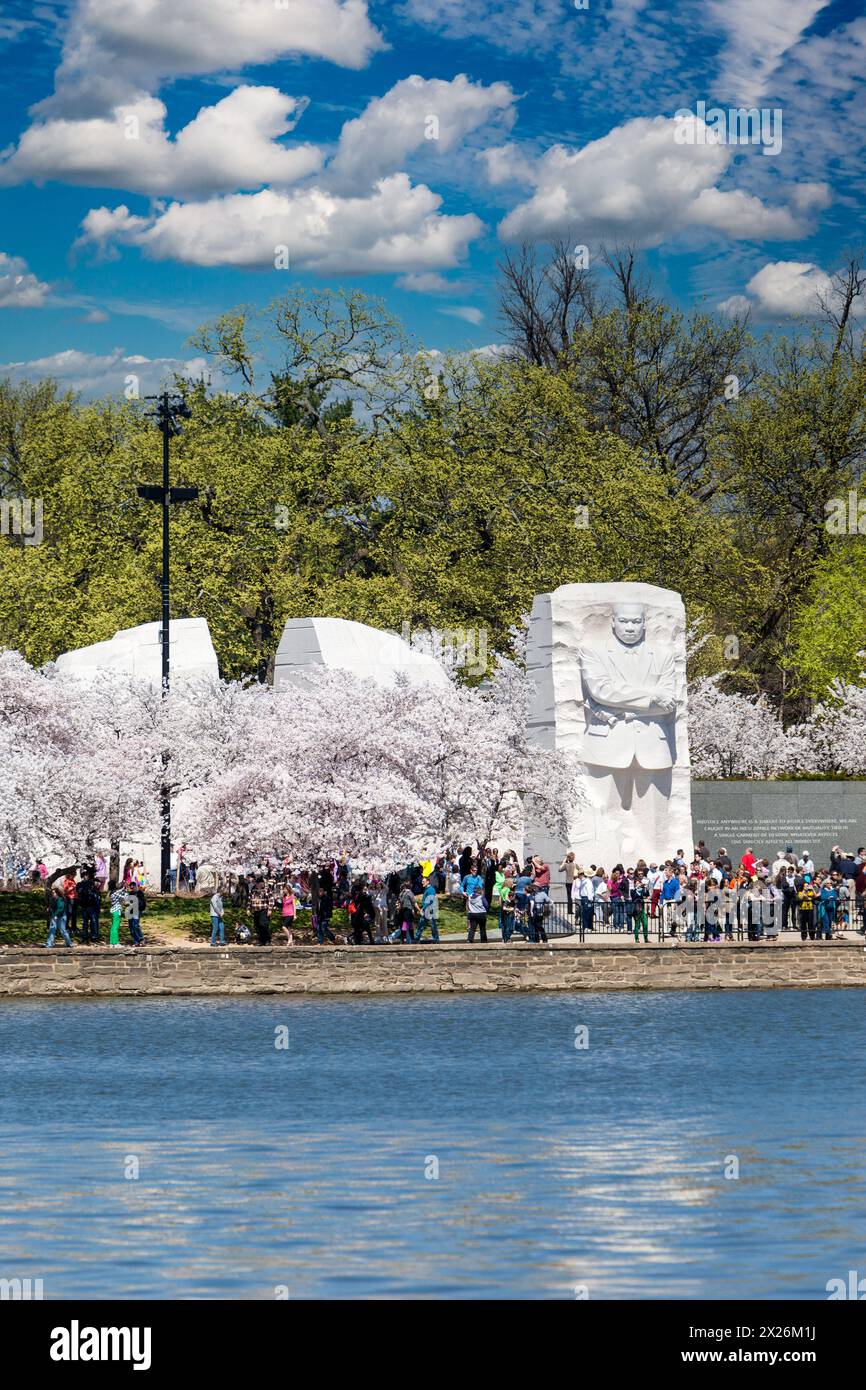 Washington D.C., fiori di ciliegio e Martin Luther King Jr. Memorial. Foto Stock