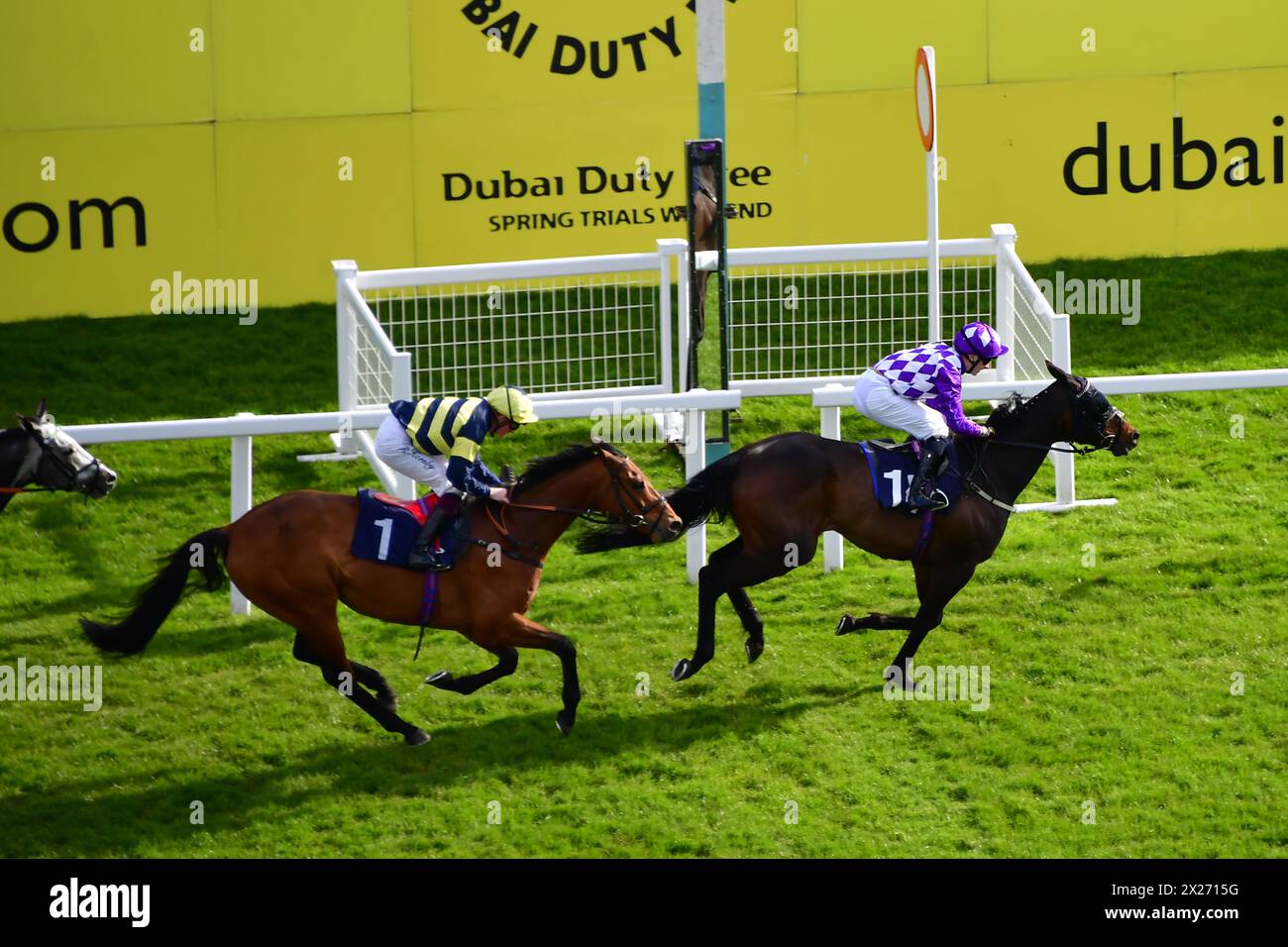 Newbury, Regno Unito. 20 aprile 2024. Qaasid, guidato da Ryan Sexton, vince il Dubai Duty Free Millenium Millionaire handicap Stakes 5,00 presso l'ippodromo di Newbury, Regno Unito. Crediti: Paul Blake/Alamy Live News. Foto Stock