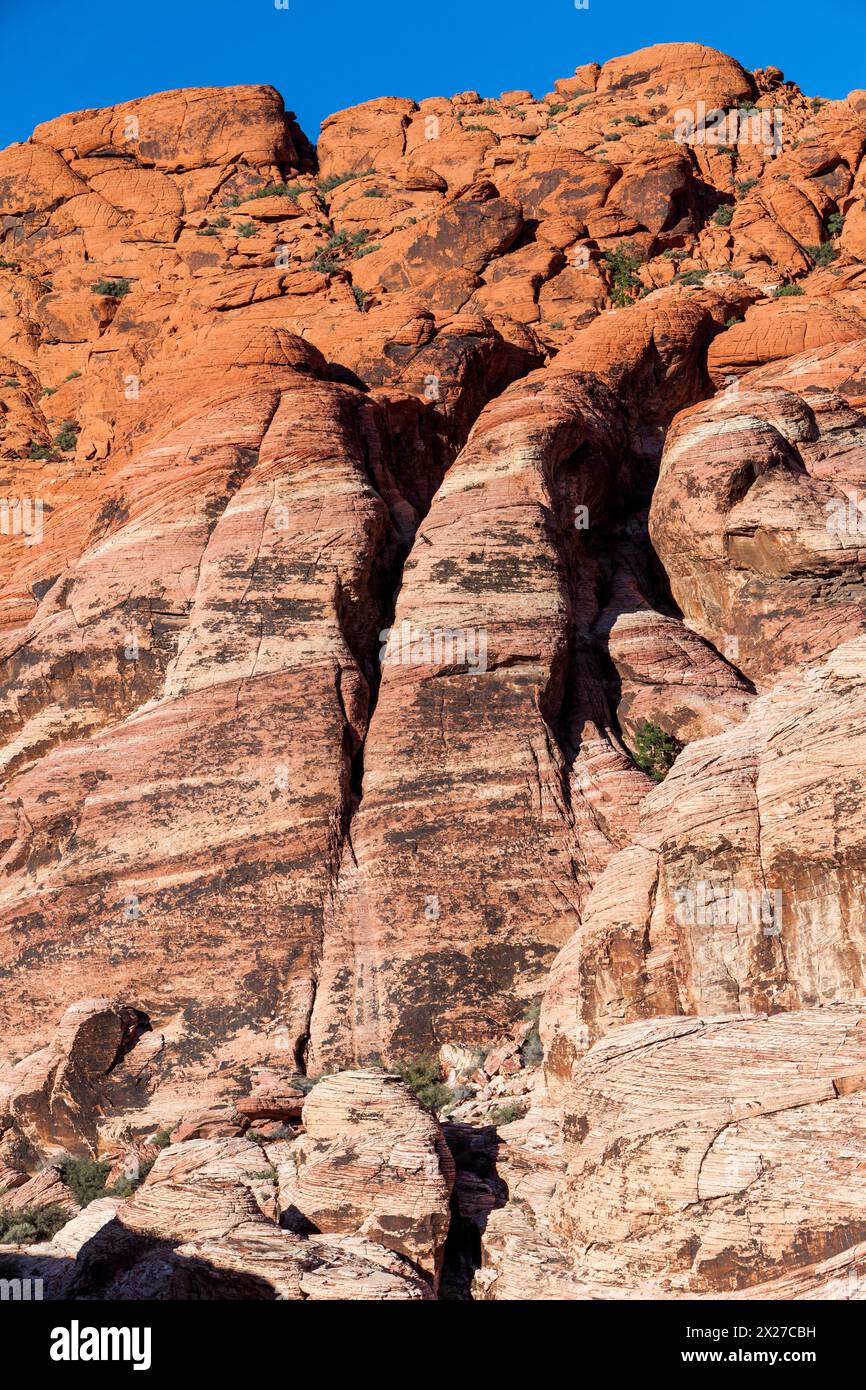Il Red Rock Canyon, Nevada. Il calicò colline, cross-biancheria in arenaria azteca. Foto Stock