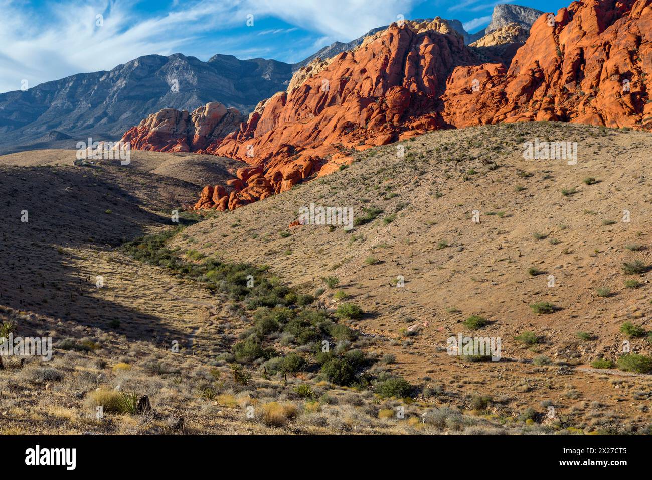 Il Red Rock Canyon, Nevada. Il calicò colline. Vegetazione segue corso d'acqua. Foto Stock