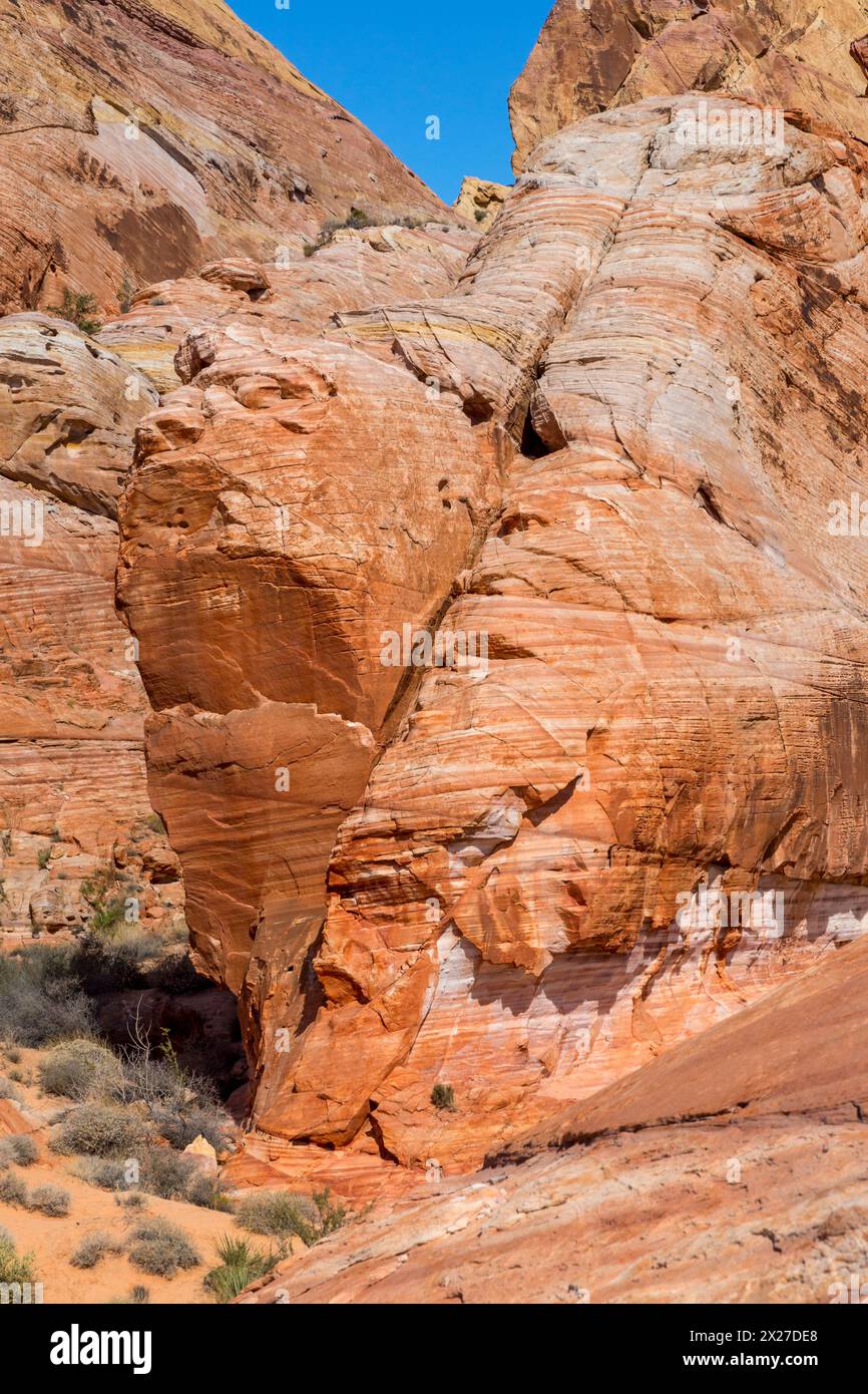 La Valle del Fuoco, Nevada. Cupole bianche Trail. Alcuni vedono un capo indiano, naso, occhi nella roccia. Foto Stock